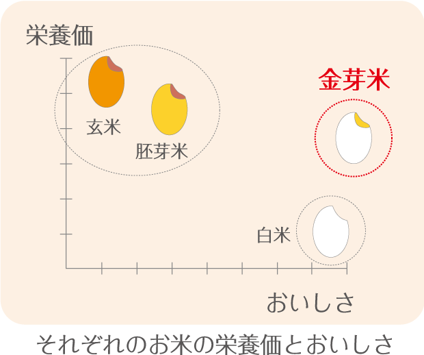 栄養価について