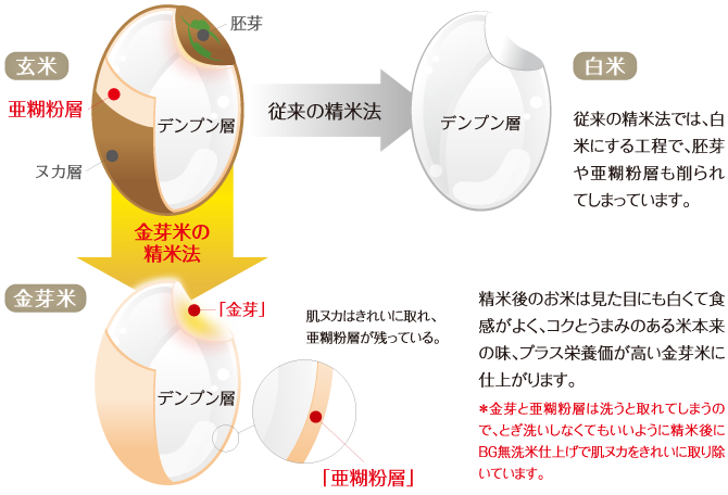 金芽米の製法