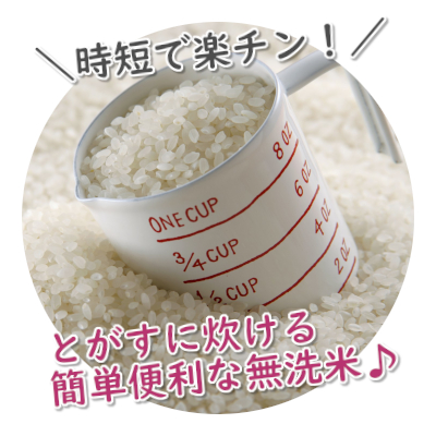 BG無洗米 複数原料米 麻の葉－国内産－ | タカラ米穀