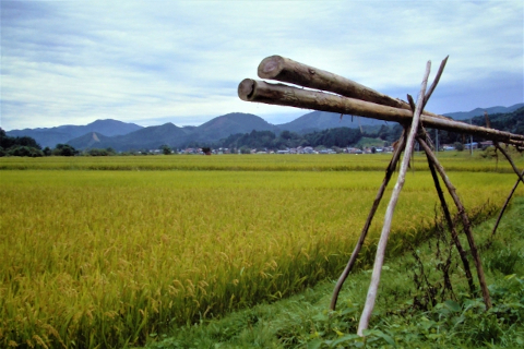 青森県 風景