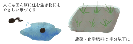 復活ササニシキの秘密②