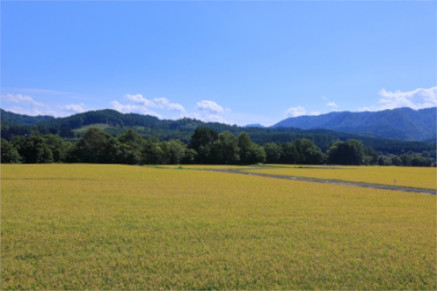 北海道 風景
