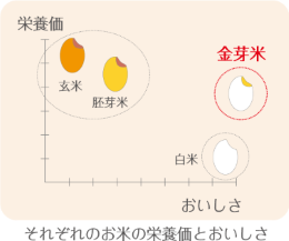 栄養価についての図解