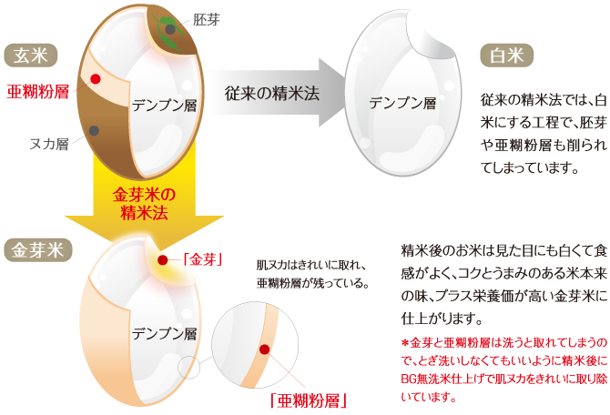 金芽米の製法（従来の精米法との比較図）