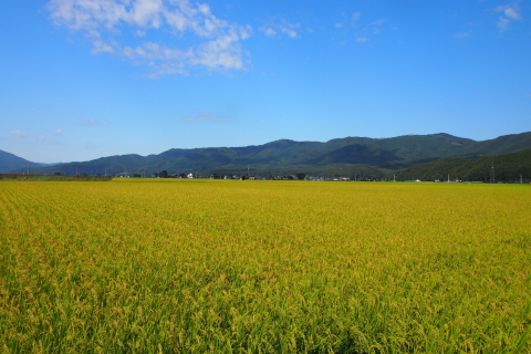 宮城の大地・仙台平野