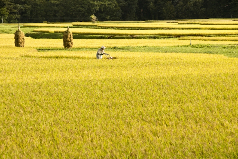 宮城県栗原市一迫 風景