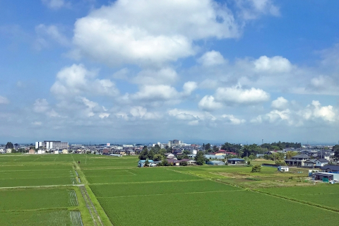大崎耕土 風景
