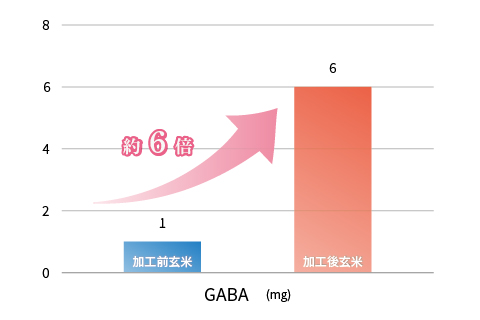 GABAが約6倍