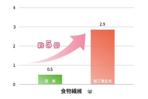 食物繊維が約5倍